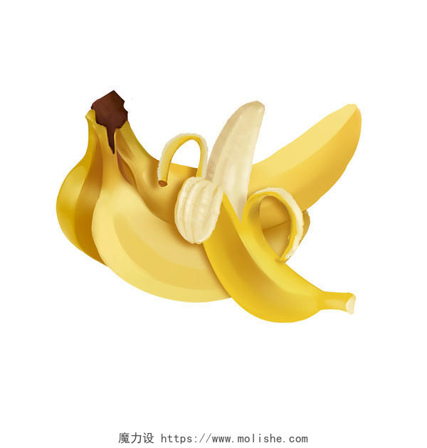 手绘写实水果香蕉PNG免扣素材香蕉写实水果